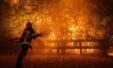 D4d74414 Fires
