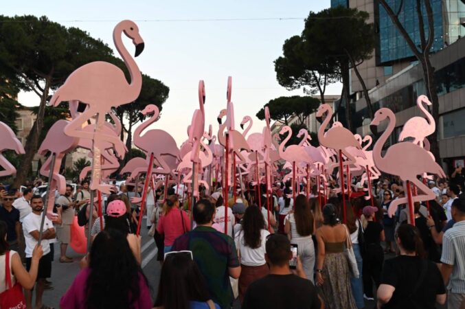 Flamingo 1536x1021 1