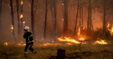 France Wildfire Mak