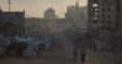 Gaza Stipe