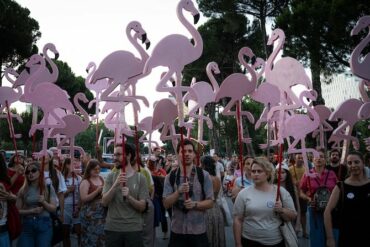 Albania Demonstration The Flamingo Revolution 2026