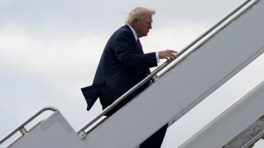 Maketa Trump 4