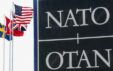 Nattoooo