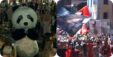 Pandaaaaaaaaaaaaaaaaaaaaaaaaaaaaa