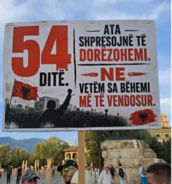 Parulla7