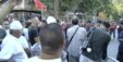 Protesta 1