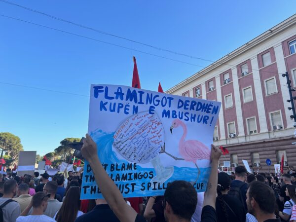 Protesta Flamingot