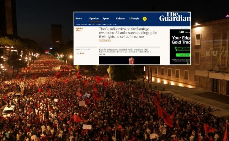 Rama Protesta The Guardian