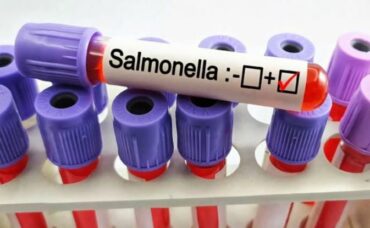 Salmonella