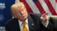 Trump76 Xrm