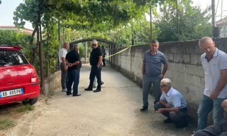 Vrasja Ne Fier 4