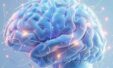 1d591d14 Neyrwnes Egkefalos