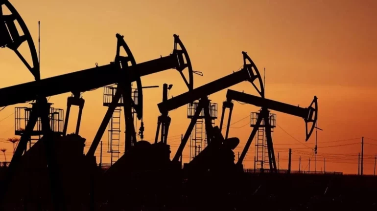 260316115003 Petrelaio Oil