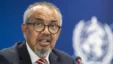 2fd6c2d0 96a5 11f1 B2ab 0dd01740f9f6.jpg