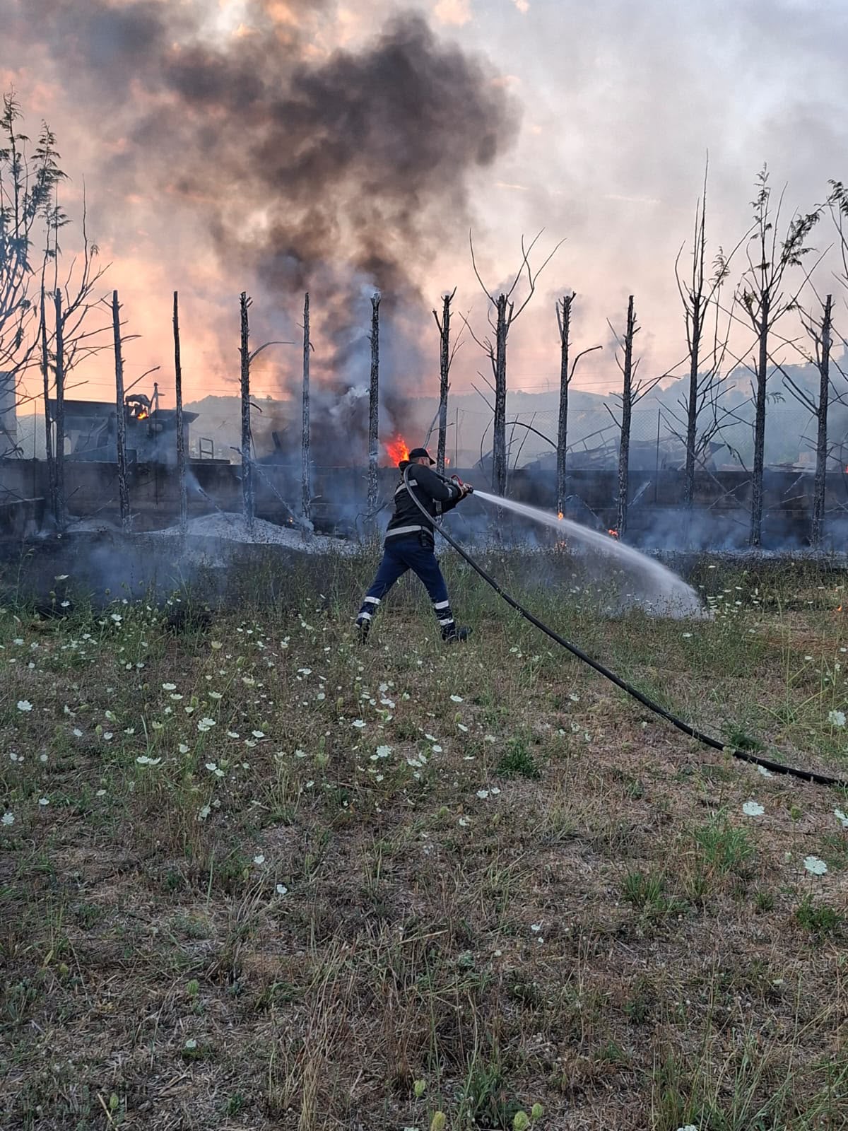 Dy vatra zjarri brenda një dite në Cërrik  flakët rrezikuan banesa dhe një pikë servisi në Shalës