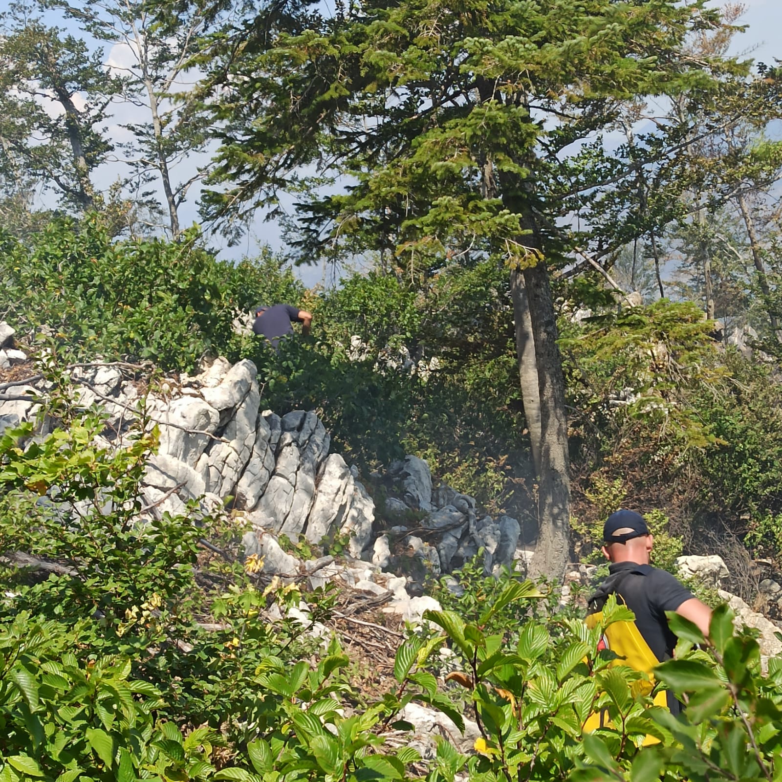 foto galeri 