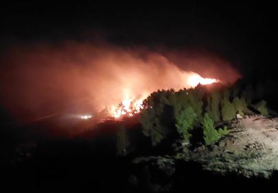 Zjarr masiv pranë liqenit të Vaut të Dejës  flakët kërcënojnë banesat  Zjarrfikësit nga Shkodra e bashkitë fqinje në luftë me    