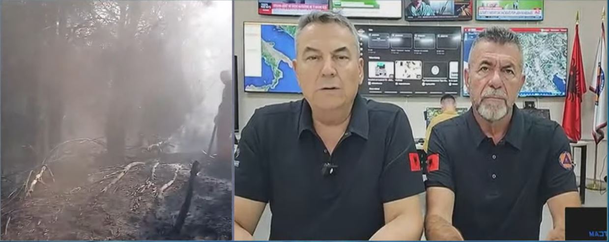 Situata me zjarret në vend  Haki Çako  Dy vatra nevralgjike në Priskë dhe Krujë  Zjarrvëniet  kryesisht nga dora e njeriut