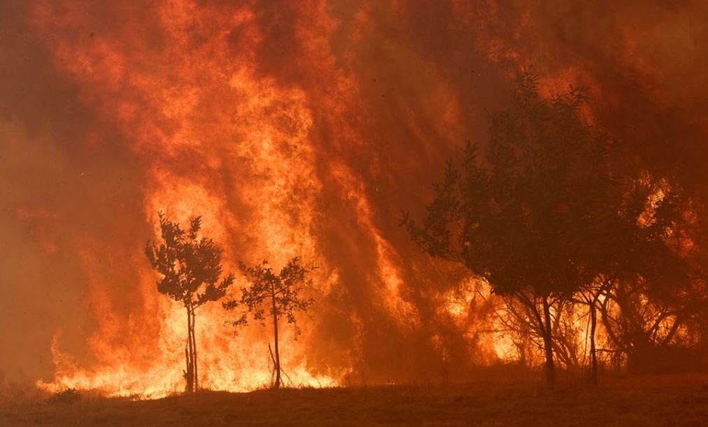 Rreth 3 mln ha pyje të djegura në Spanjë  urdhër evakuimi për banorët në Gátova