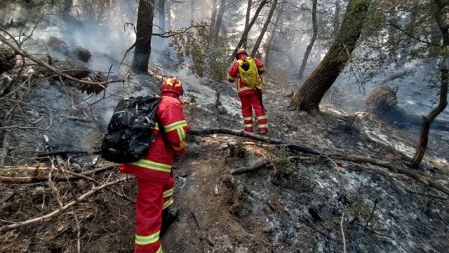 Një vit nga zjarri apokaliptik i Skënderbegasit/ Gramshi kujton tragjedinë dhe bën thirrje për vigjilencë