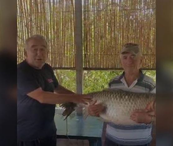 Kapet krapi gjigant me peshë 21 5 kilogramë  në ujërat e lumit Vjosa  Peshkatari Petrit Troka  Rast i rrallë