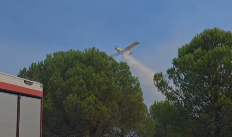 Avion