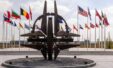 Cee07348 Efcbd6ae Nato