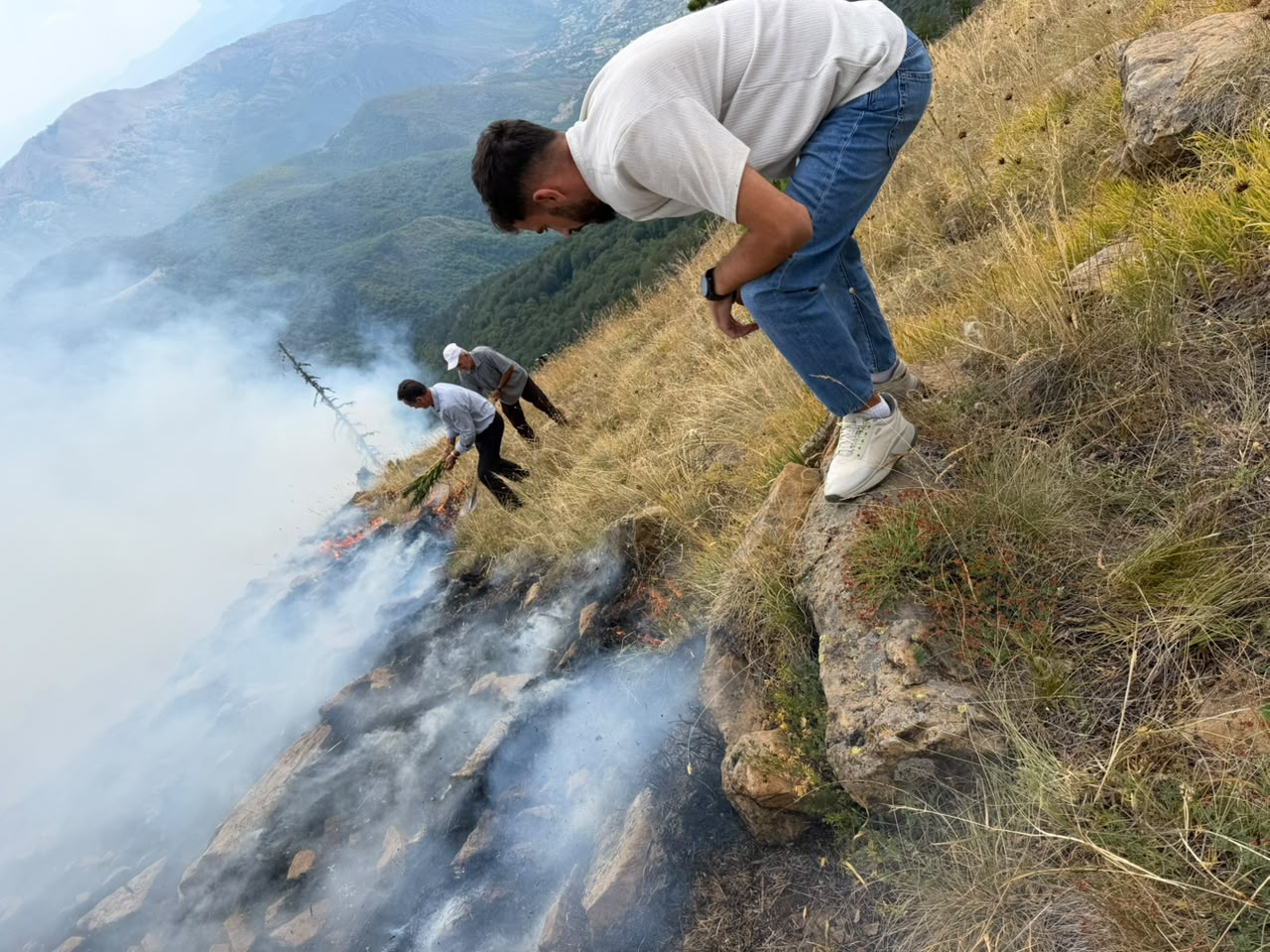foto galeri 