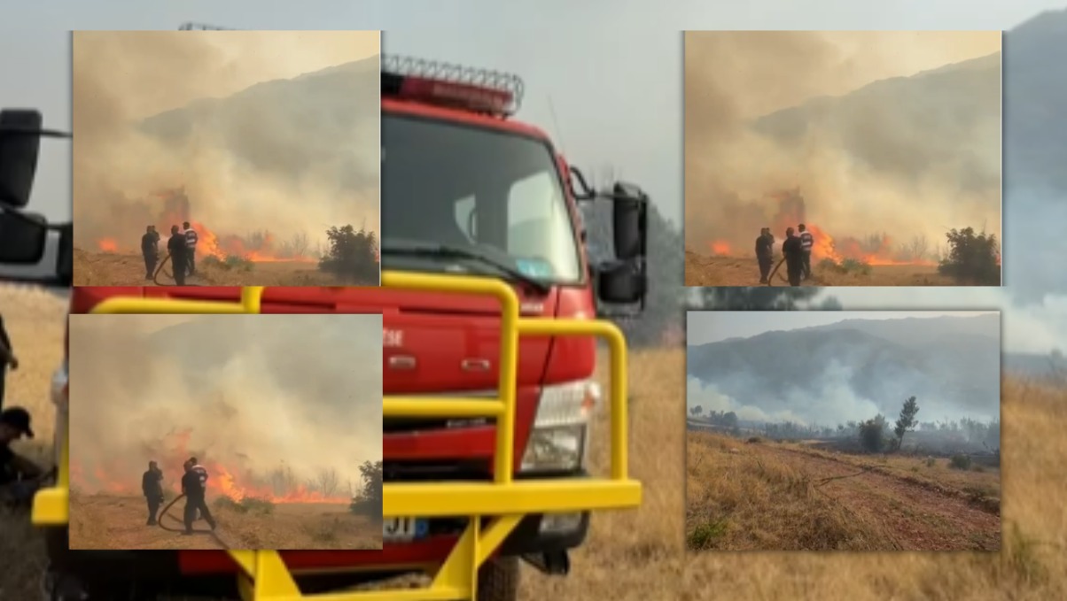 Situatë kritike në Librazhd  zjarri përhapet me shpejtësi dhe u afrohet banesave në fshatin Xhyrë