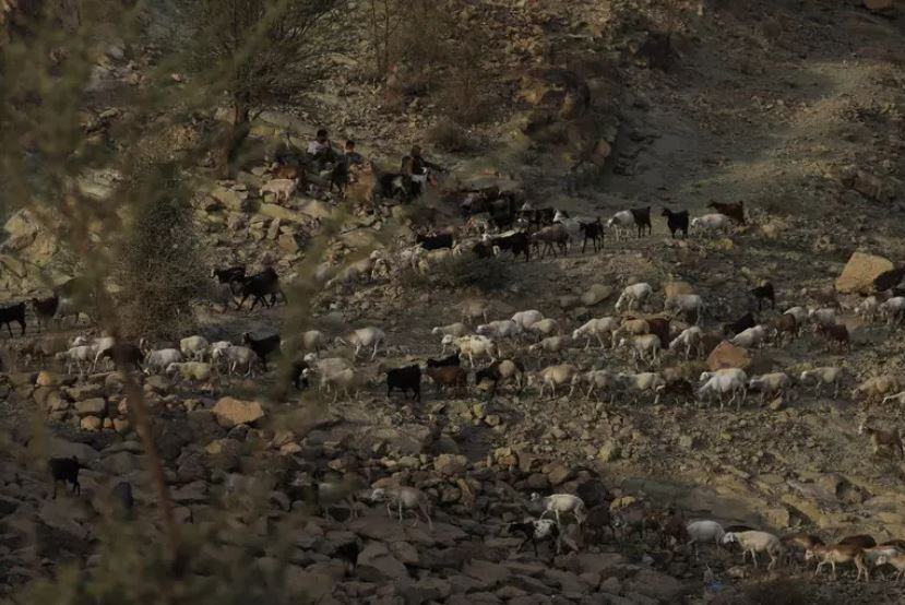 Tragjedi në Itali  Një i vdekur dhe pesë të helmuar nga monoksidi i karbonit në një kasolle barinjsh