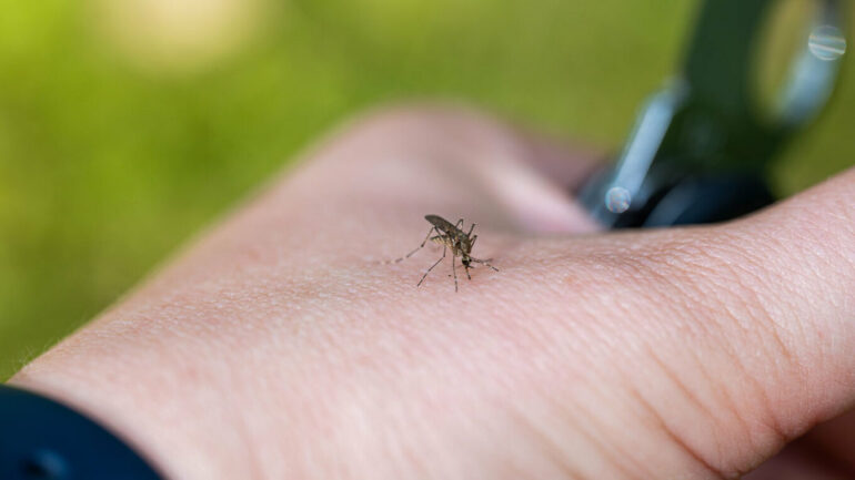 Mosquito2 Xrm