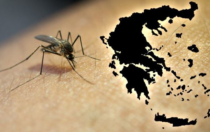 Rriten rastet me virusin e Nilit Perëndimor në Greqi  6 viktima dhe dhjetëra të shtruar në spital