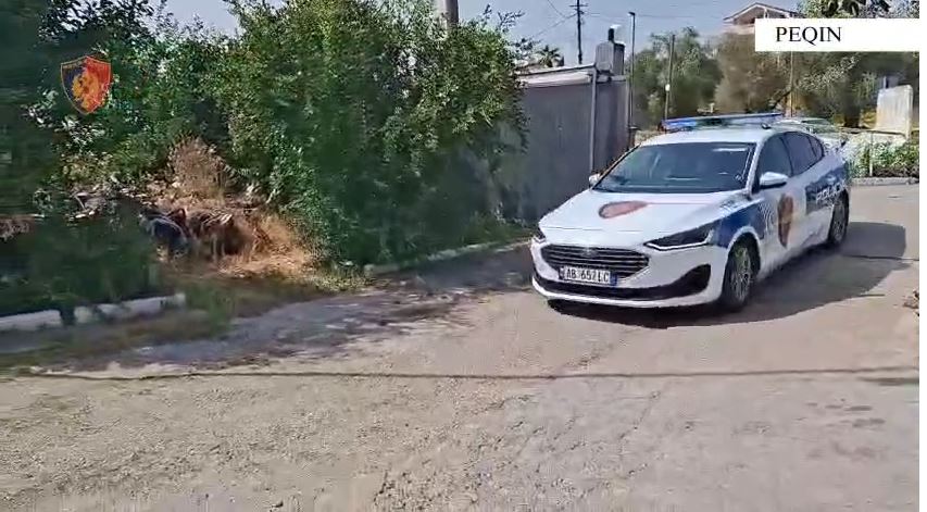 EMRAT  Kryenin vjedhje në Elbasan e Peqin  kapen hajdutët serialë
