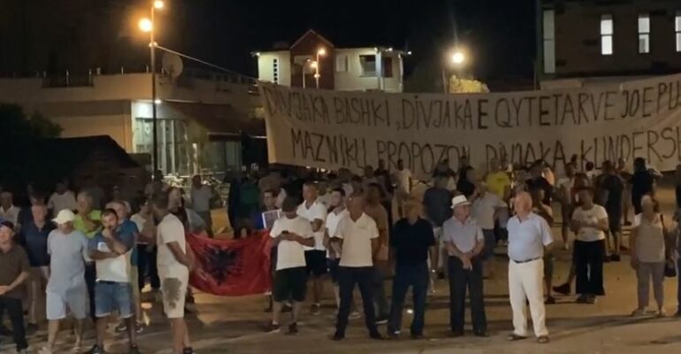 Protesta Divjaka Proteste