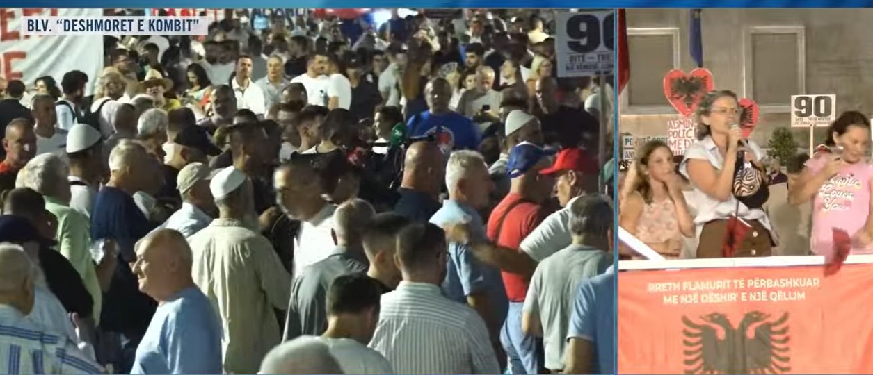 Protestuesja nga Vjena thirrje nga Bulevardi  Zgjohu Shqipëri  Mos u dorëzoni  vazhdoni për një vend më të mirë 