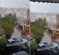 Shi Ne Sarande