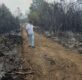 Tedi Blushi