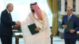 Turkeypakistansaudiarabia Xrm