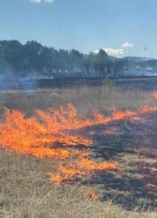 Zjarr në Ersekë/ Zjarrfikësit në vendngjarje. Dyshohet se vatrat nisën nga varrezat