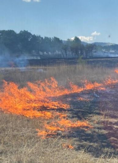 Zjarr në Ersekë  Zjarrfikësit në vendngjarje  Dyshohet se vatrat nisën nga varrezat