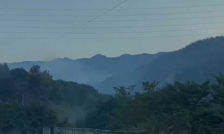 Zjarr
