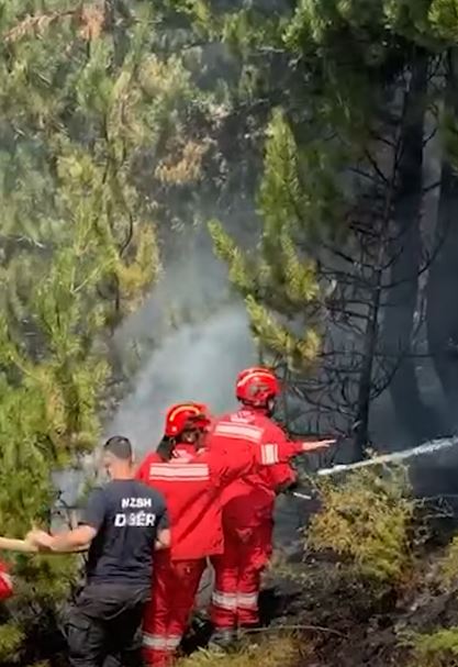 Zjarret në Shqipëri  8 vatra aktive  Ministria e Mbrojtjes publikon bilancin