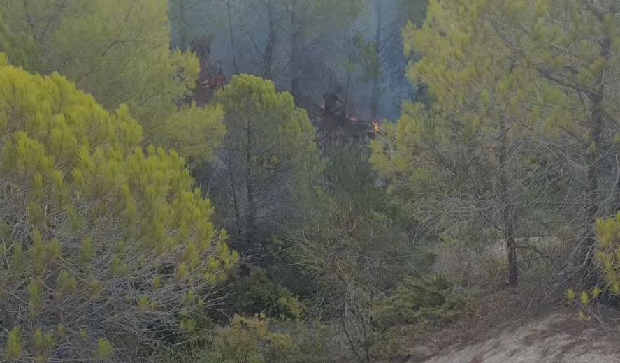 25 vatra zjarri në 24 orë  4 aktive  Vijon beteja në Dajt  Priskë  Mirditë dhe Tërbun
