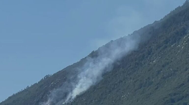 Zjarri në Qafë Mollë të Tiranës vijon prej 10 ditësh/ Shkrumbohen 8 hektarë pyje. Ndërhyhet me helikopter për të ndaluar përhapjen drejt zonave të banuara