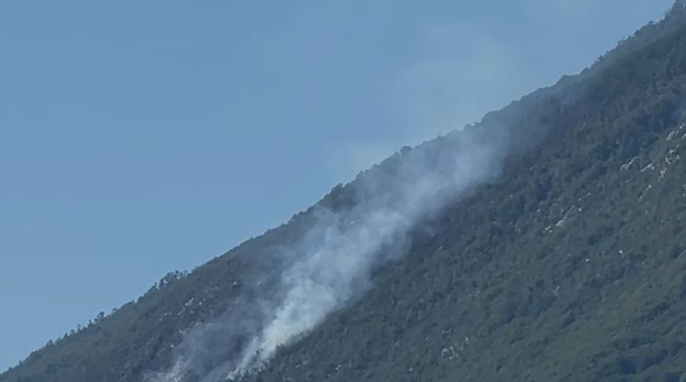 Zjarri në Qafë Mollë të Tiranës vijon prej 10 ditësh  Shkrumbohen 8 hektarë pyje  Ndërhyhet me helikopter për të ndaluar përha   