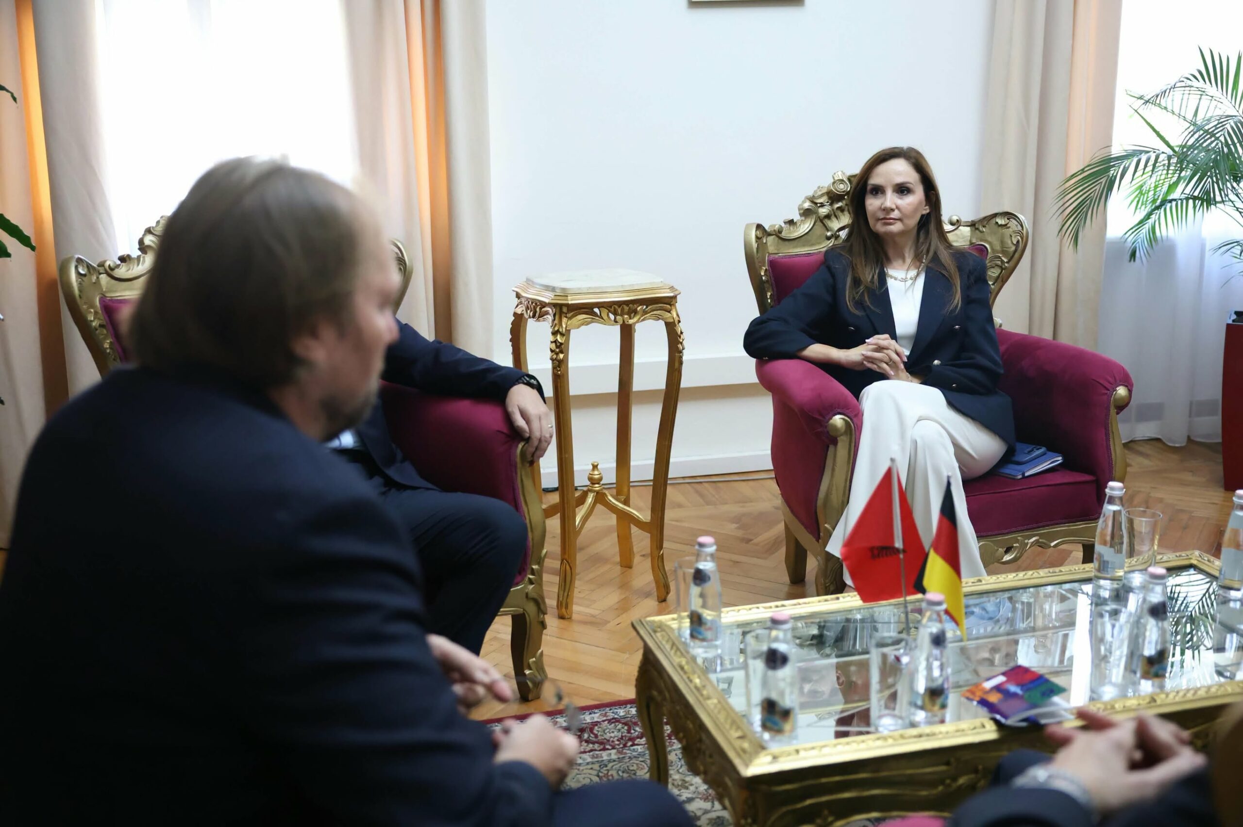 Tabaku takon Hofreiter  Shqipëria duhet të zgjedhë mes integrimit në BE dhe korrupsionit