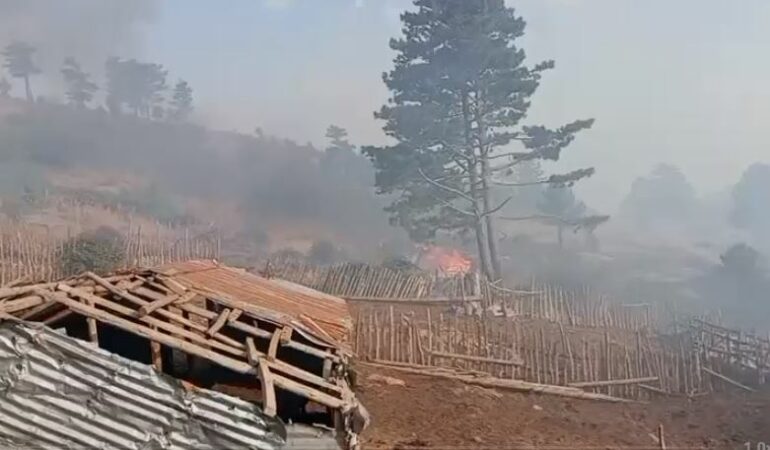 Situatë kritike nga zjarret në Mat dhe Bulqizë, flakët përfshinë disa stane gjatë natës