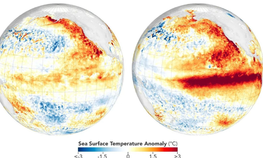 El Niño fuqizohet ndjeshëm  Temperaturat në Paqësor u rritën me 4 6°C  arrihen shifrat e 2015 ës