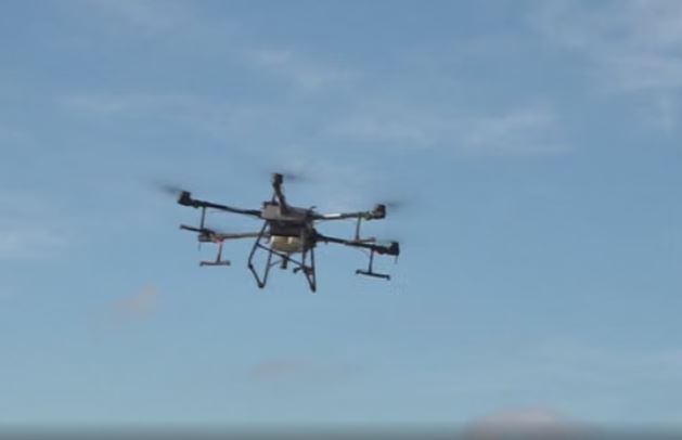 Dron