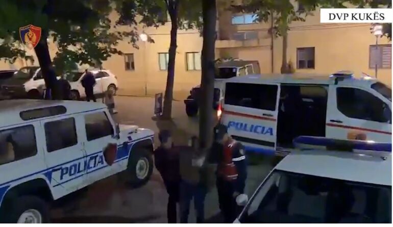 Tre operacione në Kukës e Tropojë/ 3 në pranga, kapen armë dhe 42 bimë kanabis, zbardhen edhe dy vjedhje